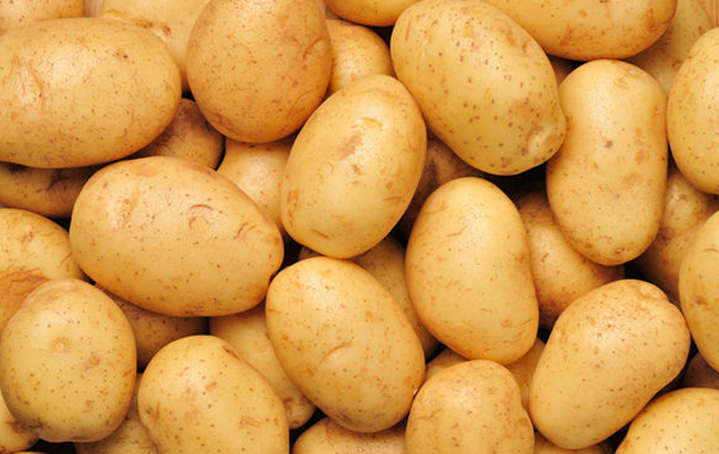 中国马铃薯栽培面积达9000万亩 早熟品种面积达45%
